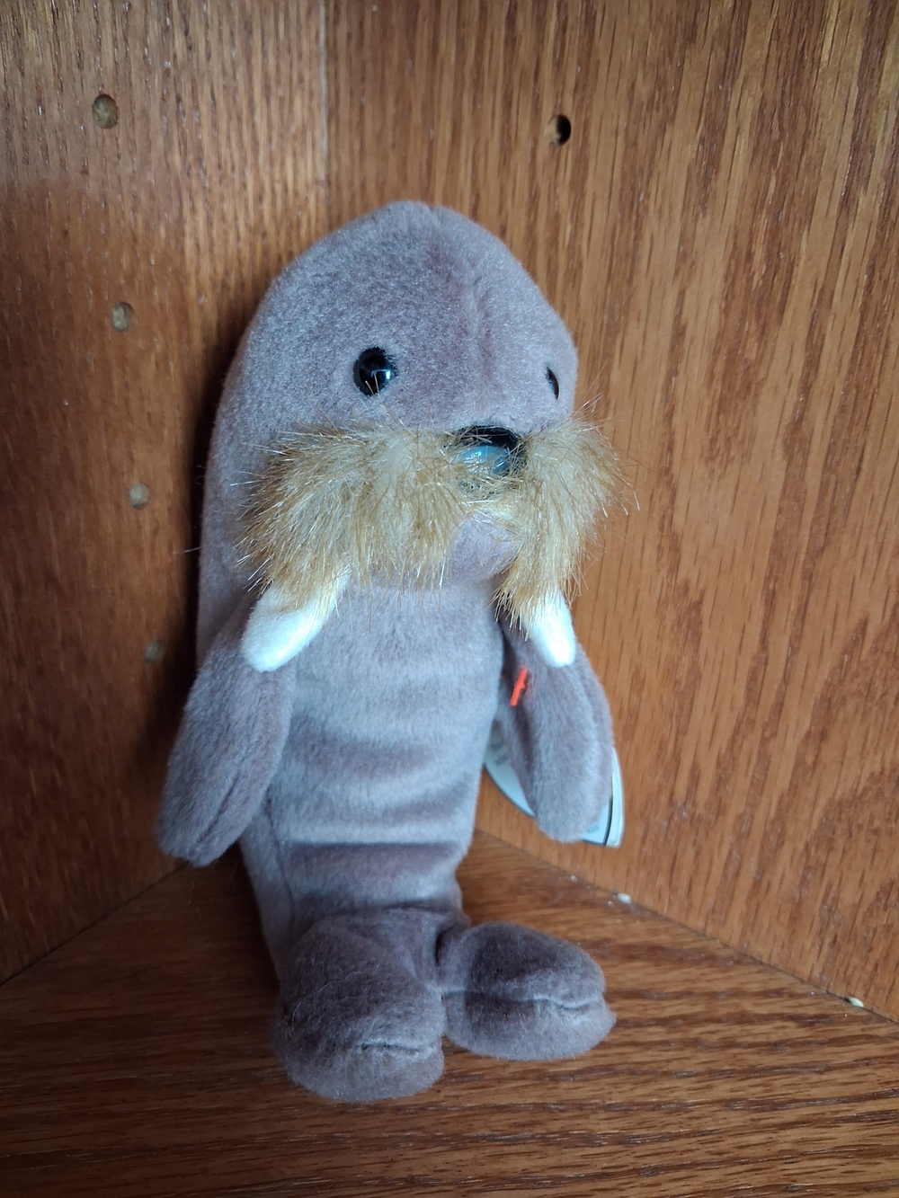 TY Beanie Baby Jolly the Walrus Style 4082 | Vintage Plush | Good Condition